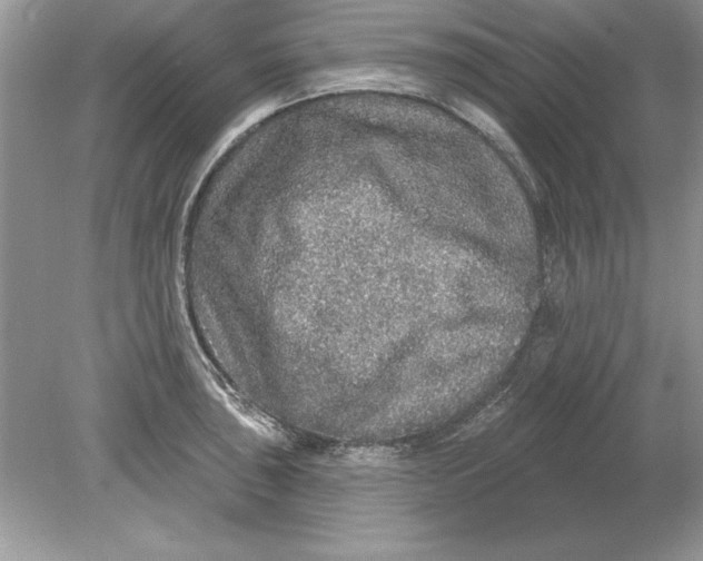 X0000078871043200612041953