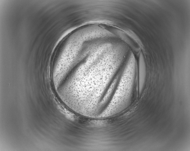 X0000078871044200612041953