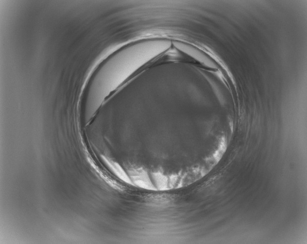 X0000078871045200612041953