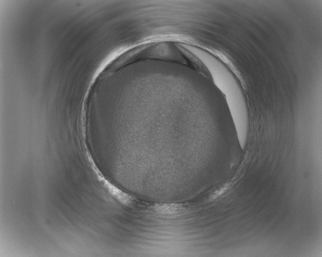 X0000078871046200612041953