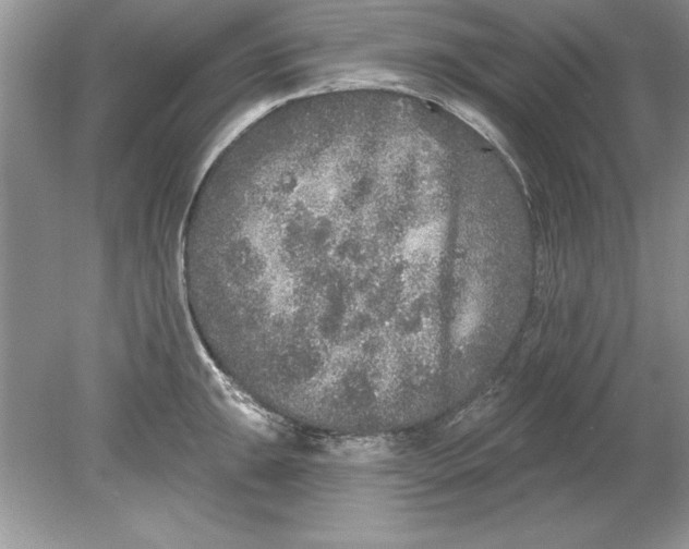 X0000078871047200612041953