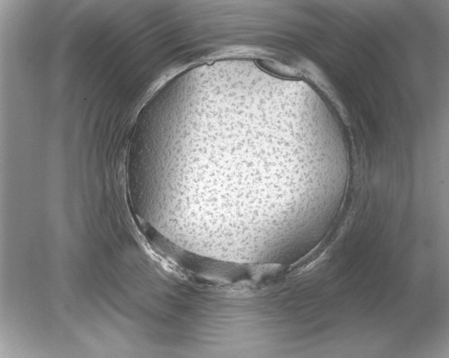 X0000078871049200612041953