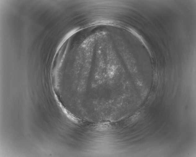 X0000078871050200612041953