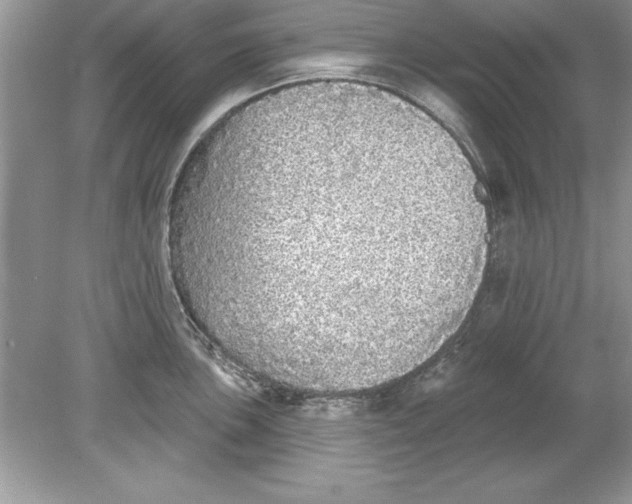 X0000078871051200612041953