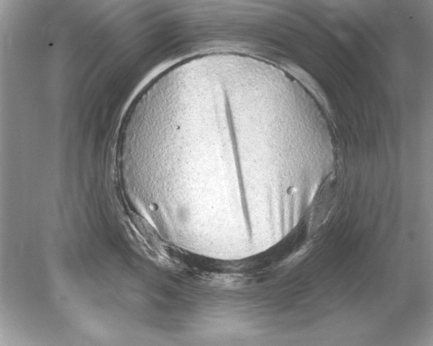 X0000078871052200612041953