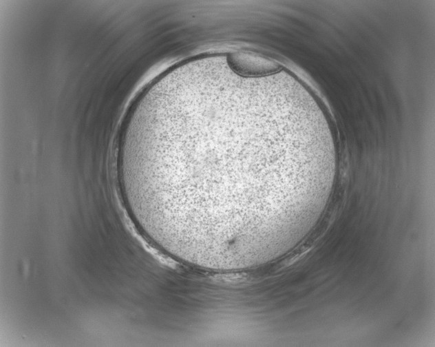 X0000078871053200612041953