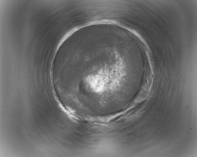 X0000078871054200612041953