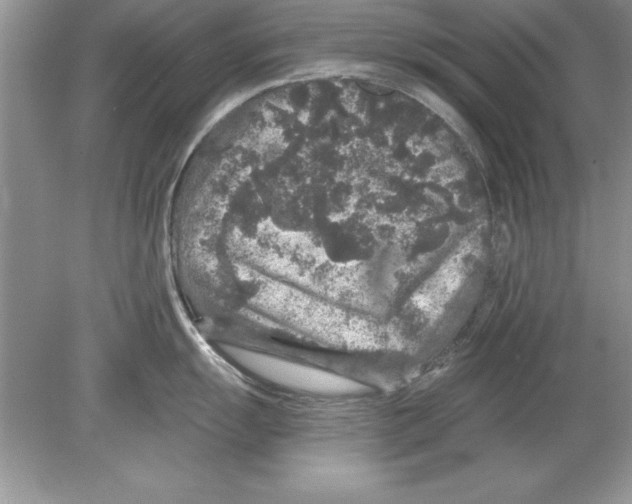 X0000078871055200612041953