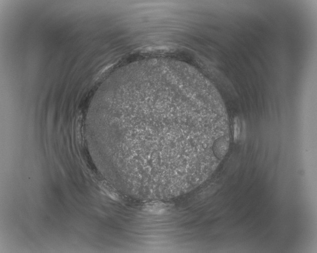 X0000078871059200612041952