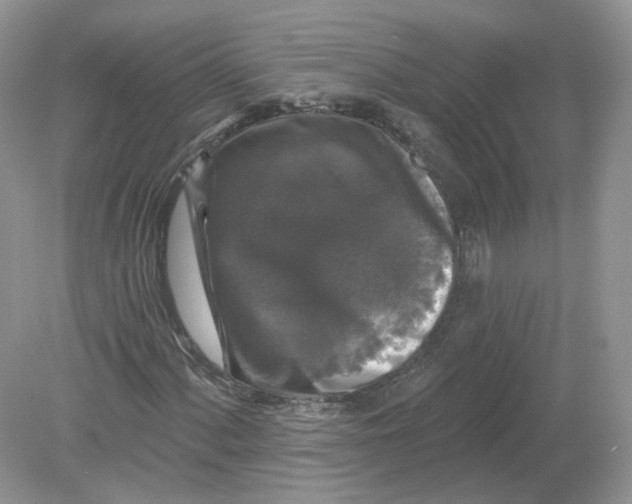 X0000078871060200612041952