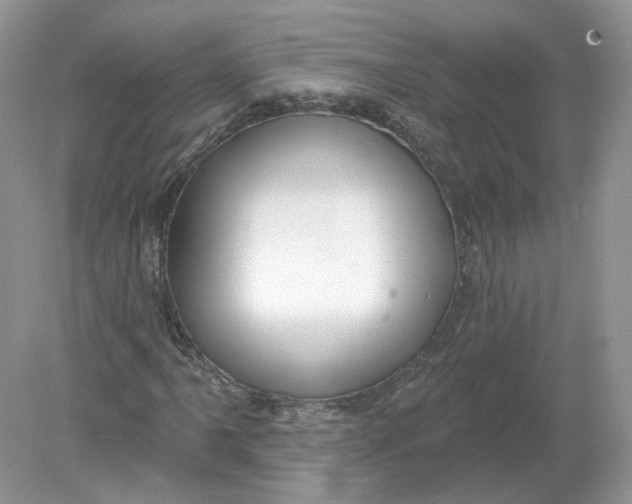 X0000078871061200612041952