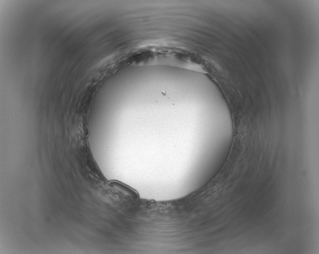 X0000078871062200612041952