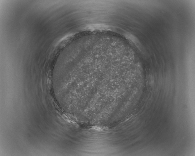 X0000078871063200612041952