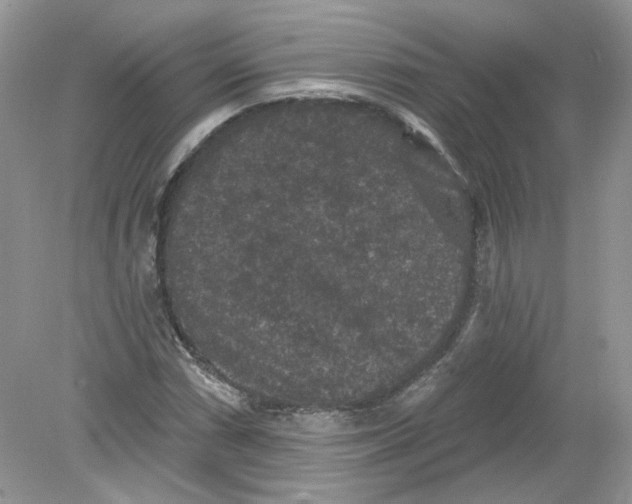 X0000078871066200612041952