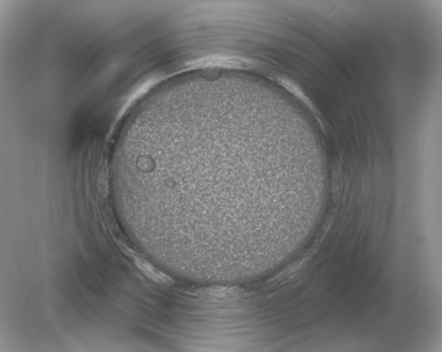 X0000078871067200612041952