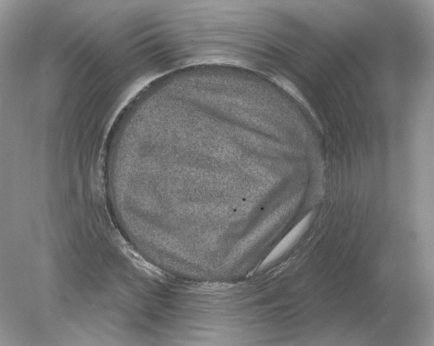 X0000078871068200612041952