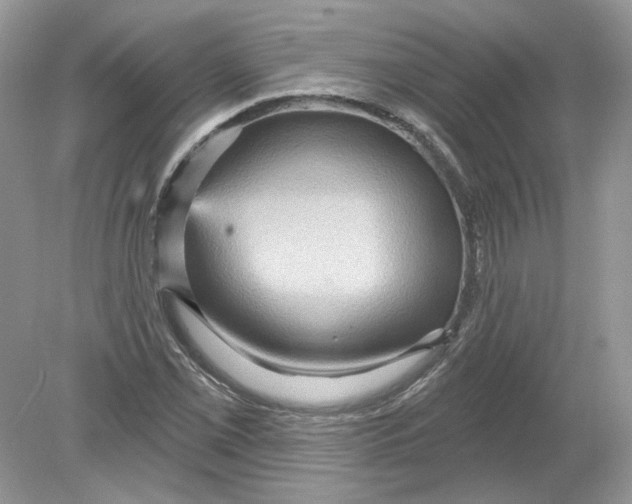 X0000078871069200612041952