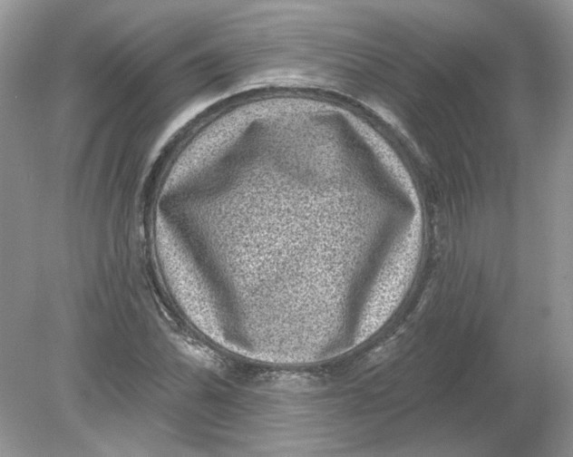 X0000078871070200612041952