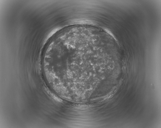 X0000078871071200612041952