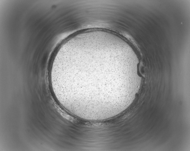 X0000078871072200612041952