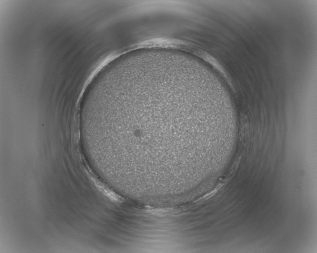 X0000078871075200612041952