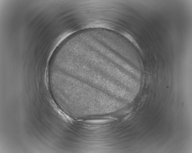 X0000078871076200612041952