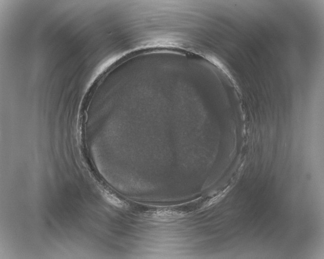 X0000078871077200612041952