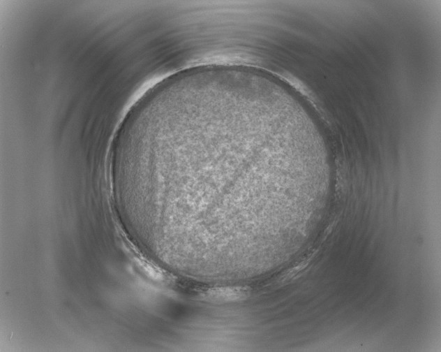 X0000078871078200612041952