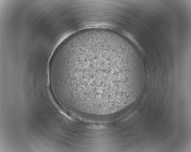 X0000078871079200612041952