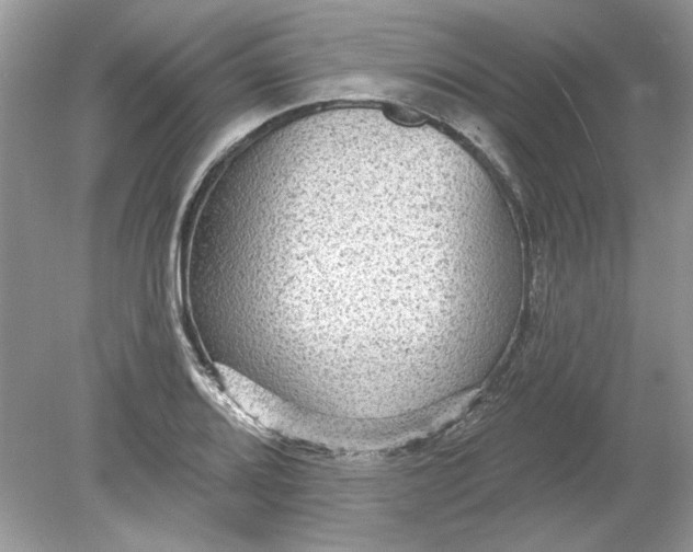 X0000078871080200612041952