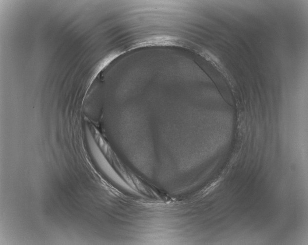 X0000078871081200612041952