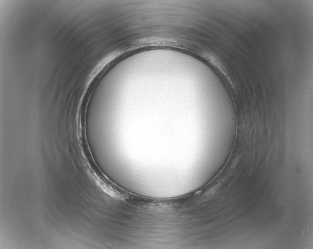 X0000078871082200612041952