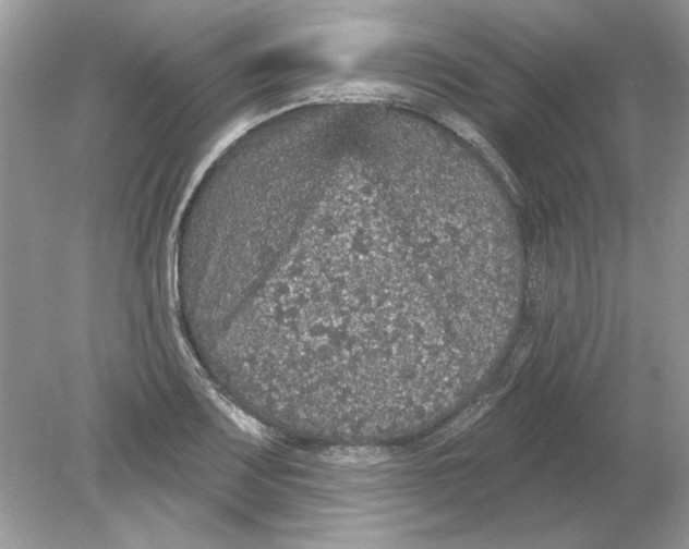 X0000078871083200612041952