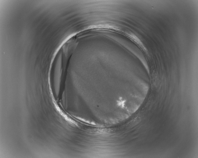 X0000078871084200612041952