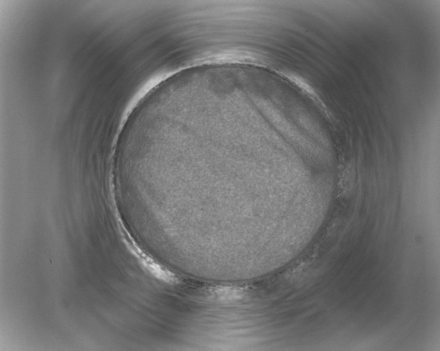 X0000078871086200612041952