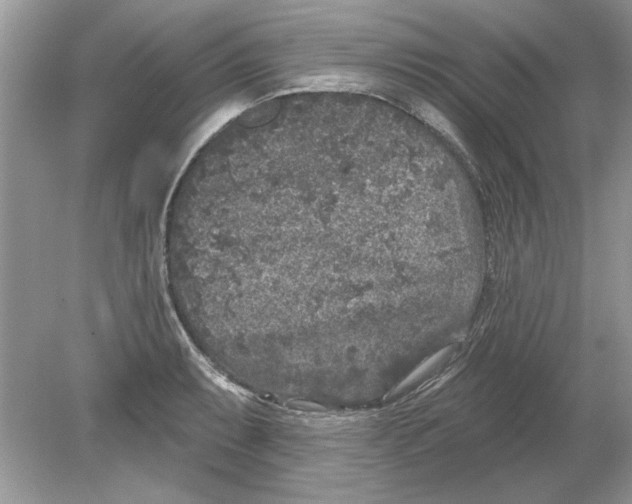 X0000078871087200612041952