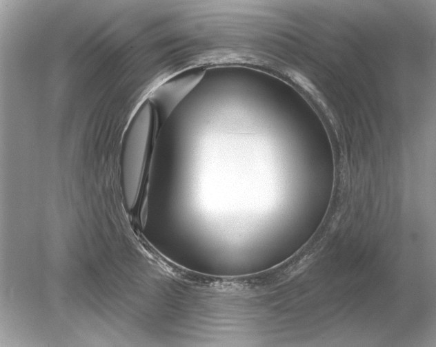 X0000078871089200612041952