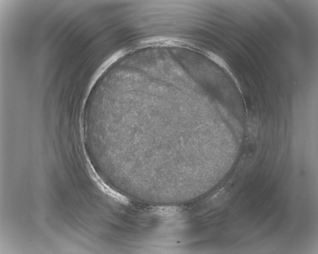 X0000078871090200612041952