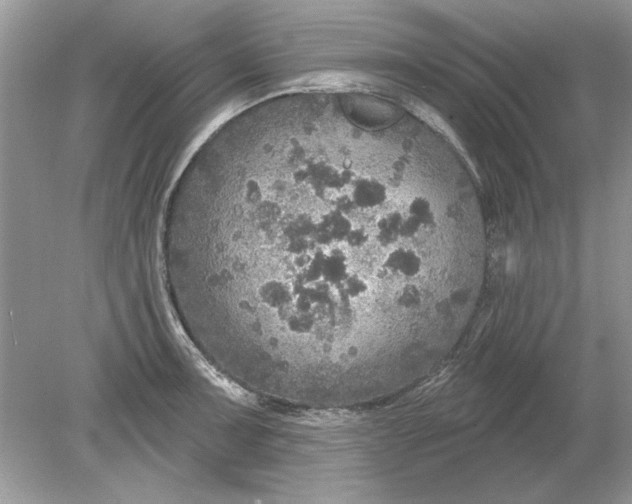 X0000078871091200612041952