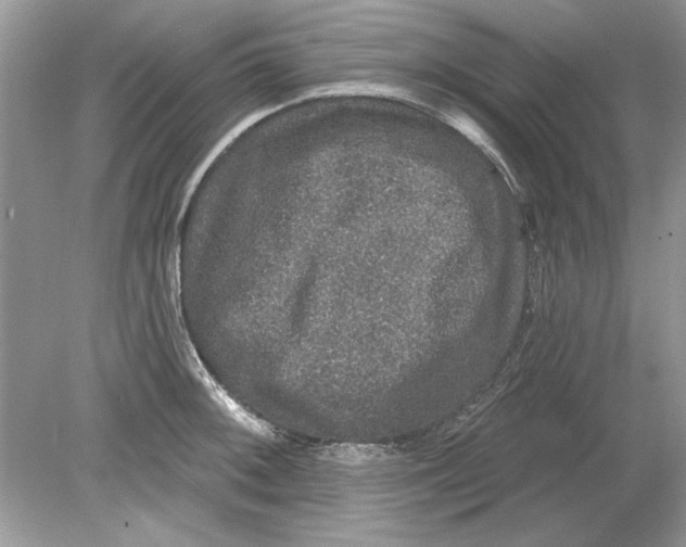 X0000078871092200612041952