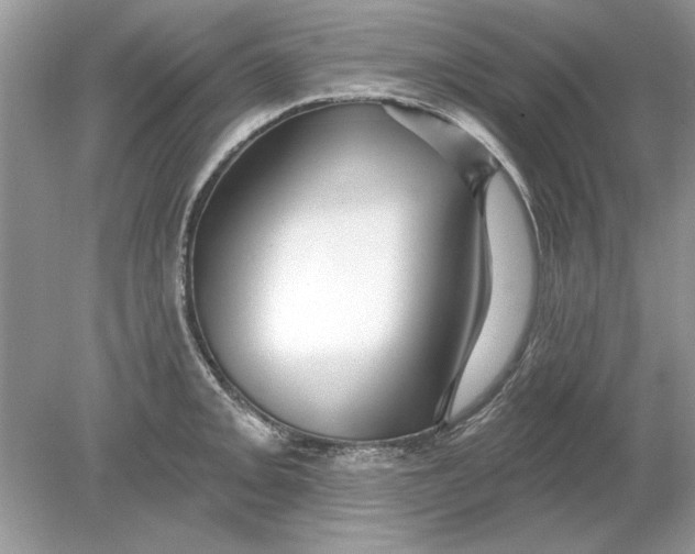 X0000078871093200612041952