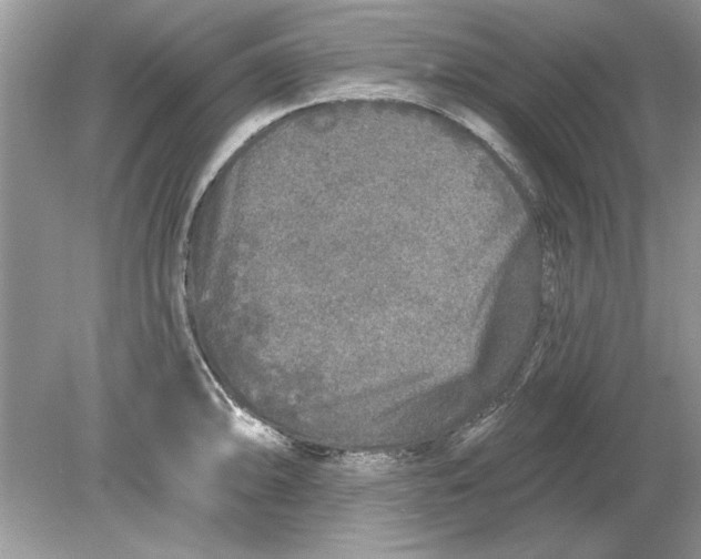 X0000078871094200612041952