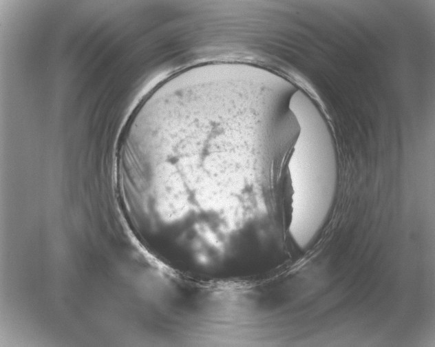 X0000078871095200612041952