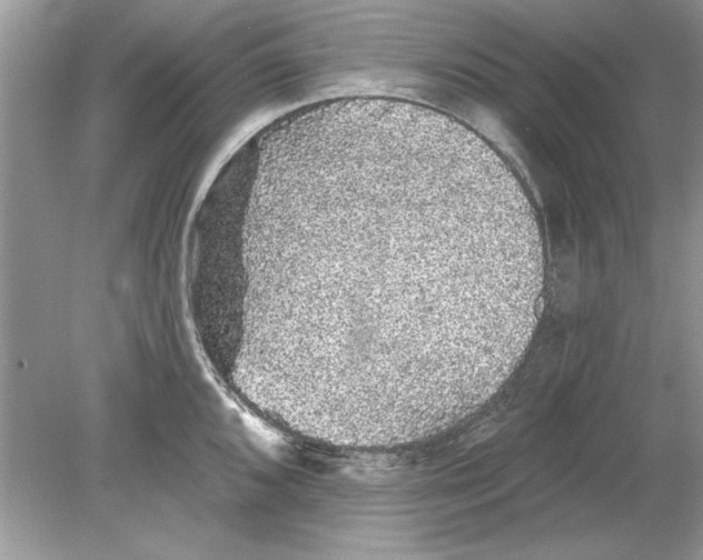 X0000078871096200612041952