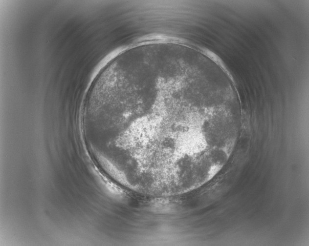 X0000078871098200612041952