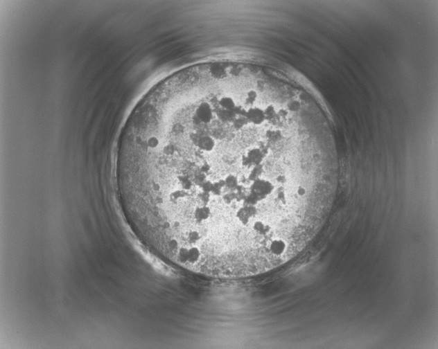 X0000078871099200612041951