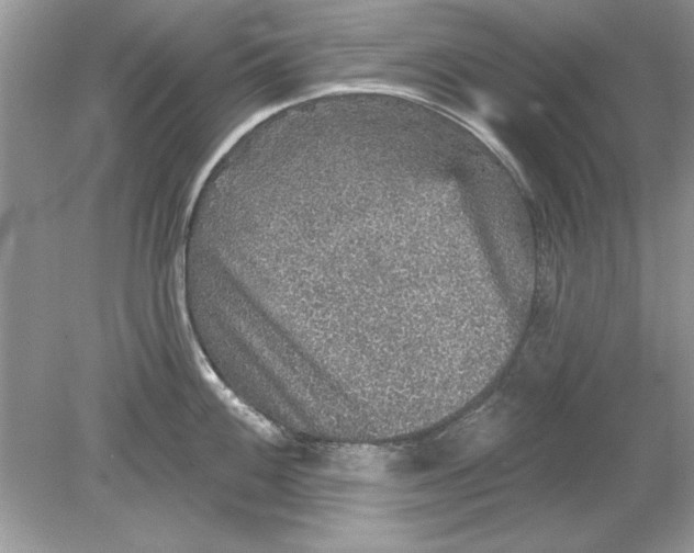 X0000078871100200612041951