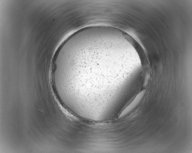 X0000078871101200612041951