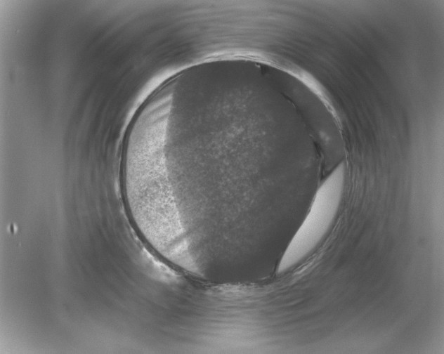 X0000078871102200612041951