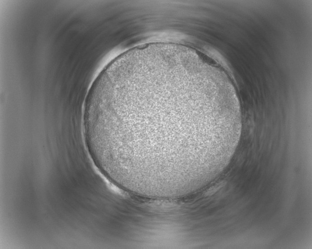 X0000078871103200612041951